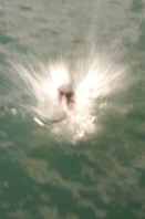 2022_Tessin 2 013.jpg